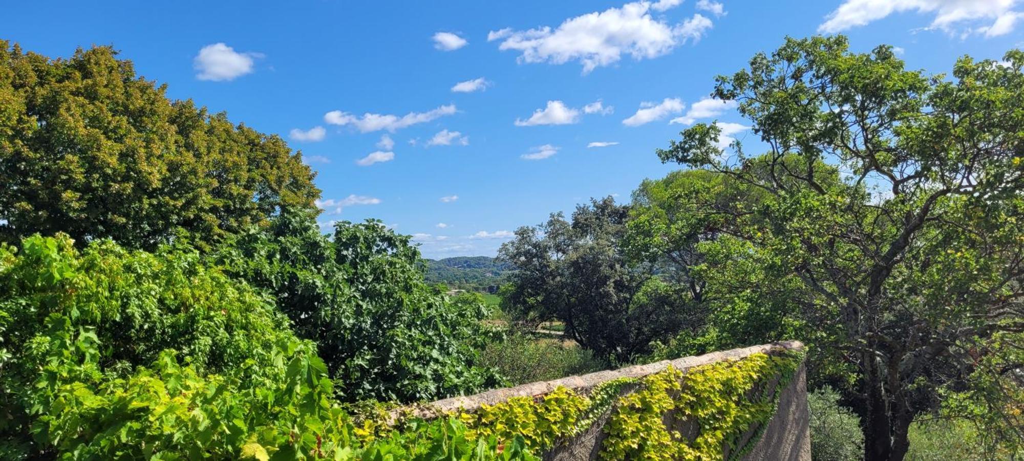 Le Domaine Du Soulier -Gite Et Chambres D'Hotes - La Maison Du Gardien Tornac 外观 照片