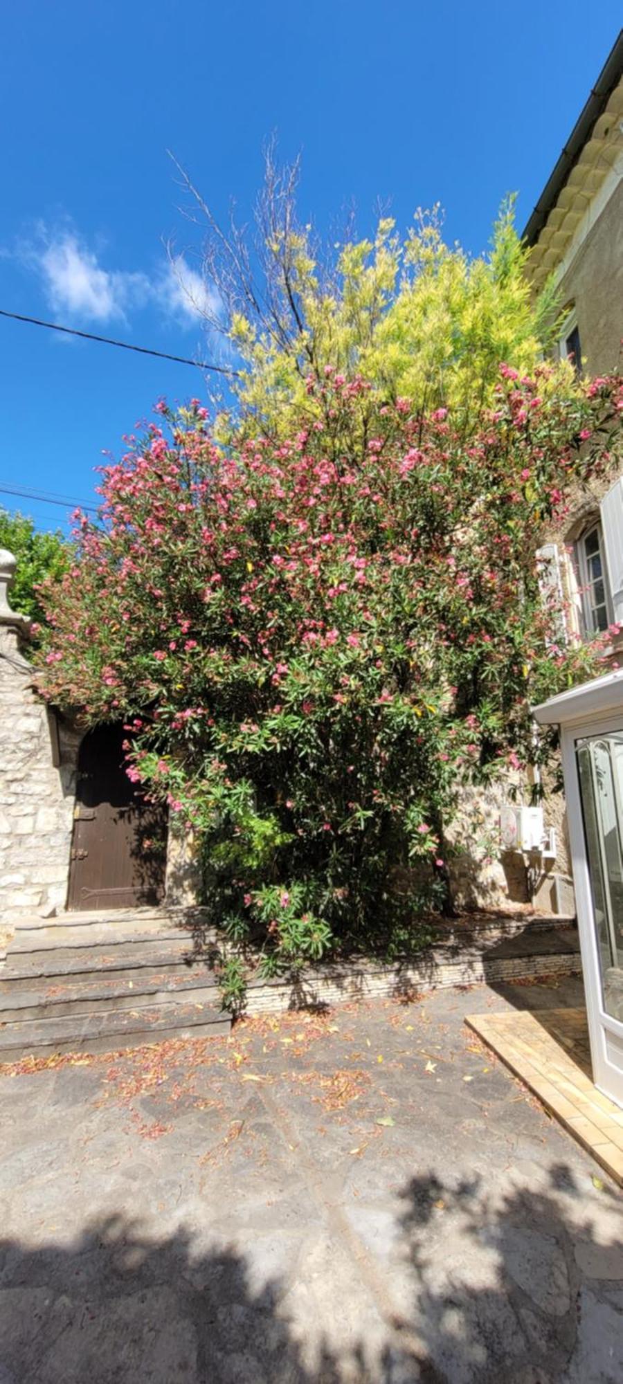 Le Domaine Du Soulier -Gite Et Chambres D'Hotes - La Maison Du Gardien Tornac 外观 照片